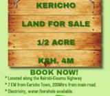 1/2 ACRE KERICHO LAND FOR SALE