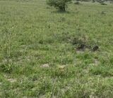 For sale: 5.3 Acres Fronting Mombasa Rd, Near Naivas Supermarket At ATHI RIVER