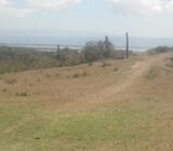 Prime 75 Acres Moi South Lake, NAIVASHA